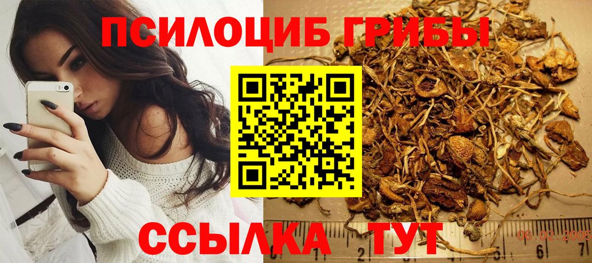 Галлюциногенные грибы ЛСД Лянтор