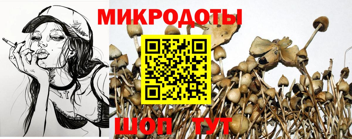 Лянтор  Псилоцибиновые грибы ЛСД  даркнет сайт  Вход с VPN 